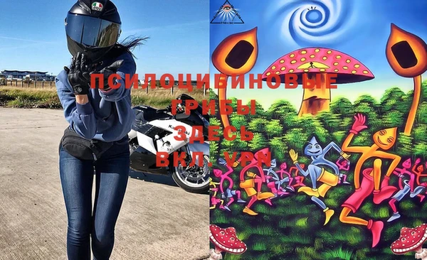 марки lsd Абаза